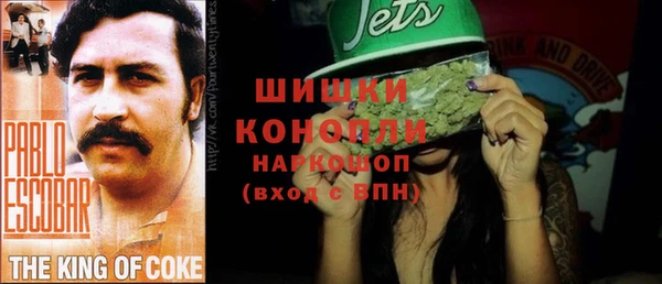 бошки Новодвинск