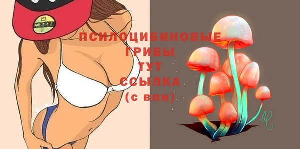 ALPHA-PVP Няндома