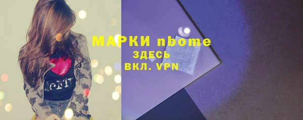 гашик Гатчина