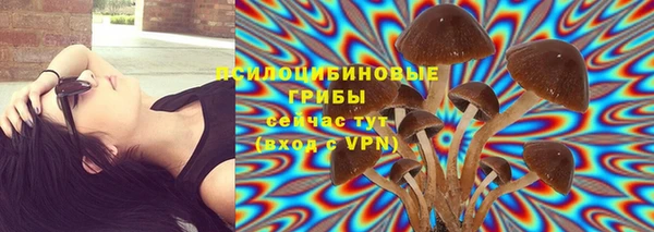 бошки Новодвинск