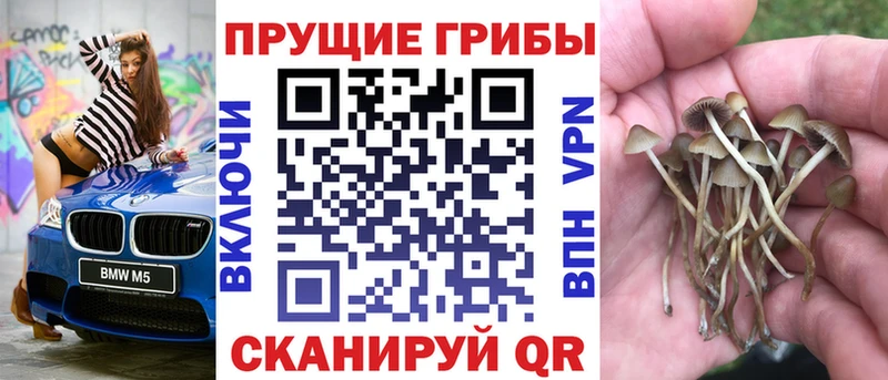 KRAKEN сайт  Пугачёв  Галлюциногенные грибы Magic Shrooms  купить наркоту 