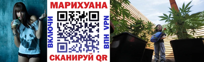 Конопля конопля  Пугачёв 